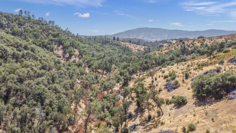 More Photos Of 5761 Highway 4, Angels Camp Land For Sale