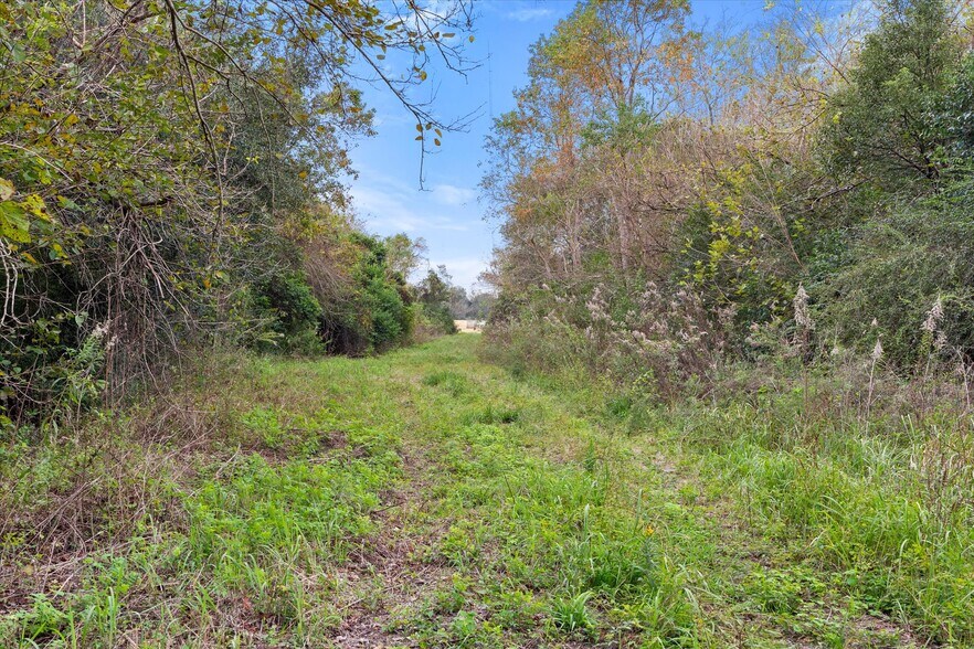 More Photos Of Conception Street Road, Mobile Land For Sale