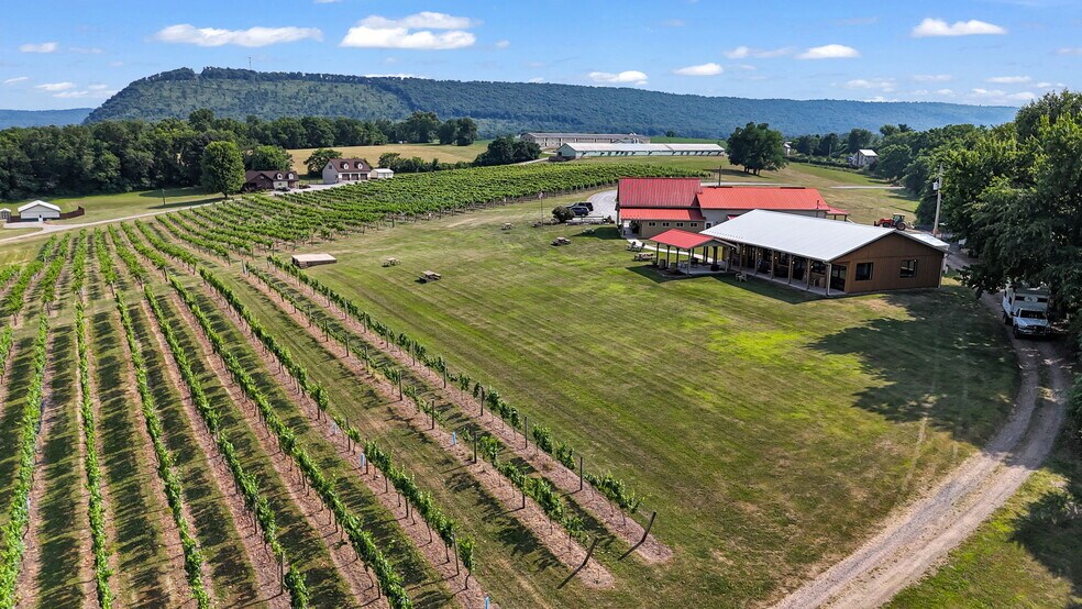 More Photos Of 3 Orchard Rd, Liverpool Winery Vineyard For Sale