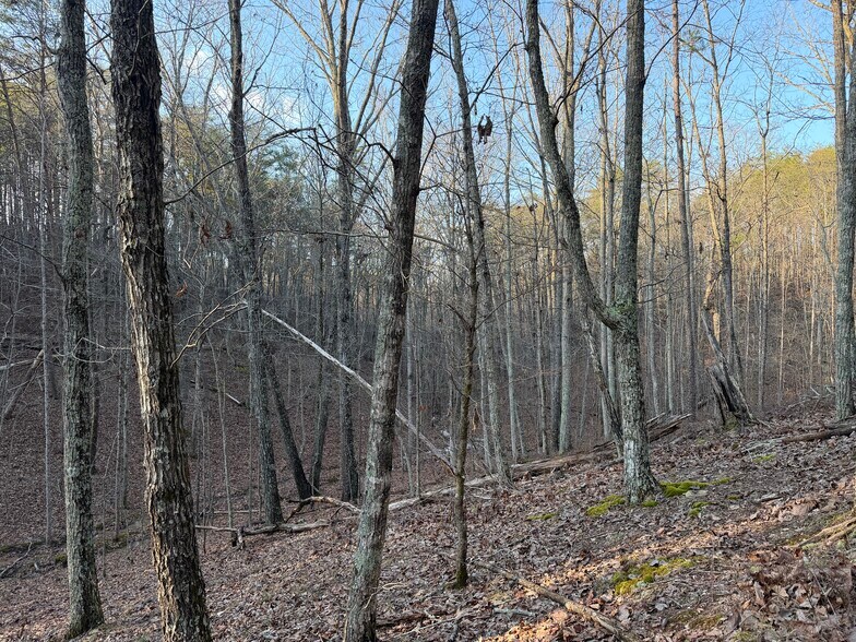More Photos Of 260 Arnold Rd NE, Fairmount Land For Sale
