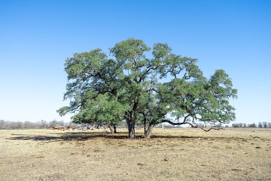More Photos Of TBD Richards Dr, Del Valle Land For Sale
