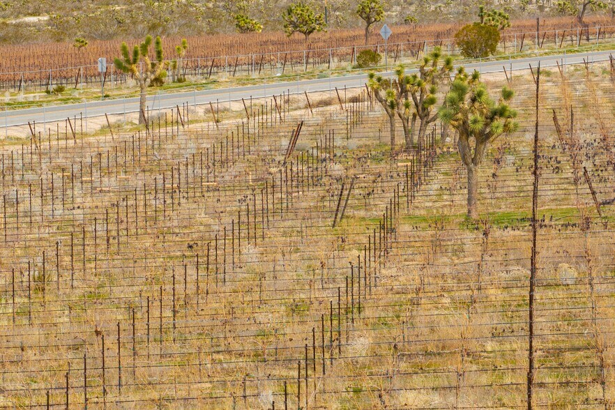 More Photos Of Fort Tejon Rd, Littlerock Land For Sale