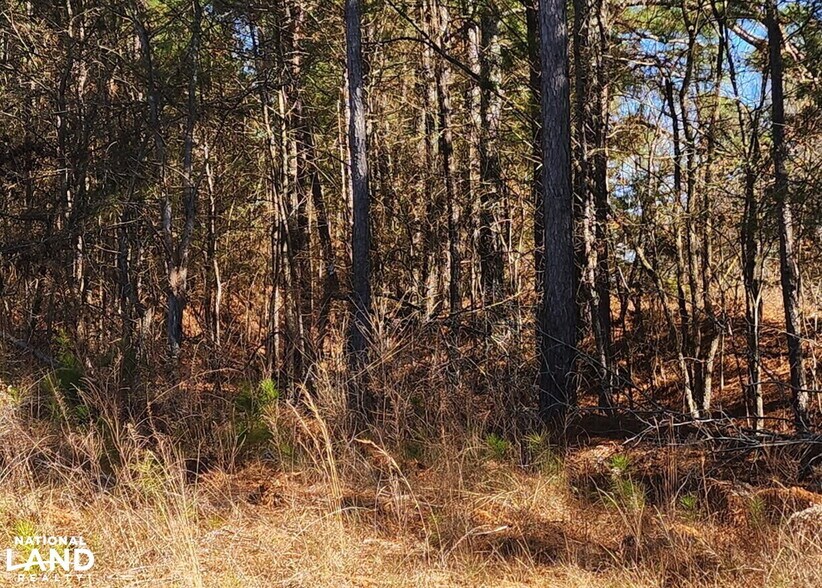 More Photos Of 0 S Sauty Rd, Langston Land For Sale