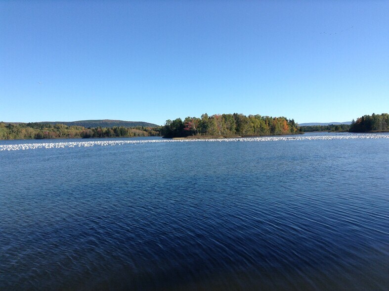 More Photos Of 300-302 Rt 297 S, Saint-Damase-De-Matapédia Land For Sale