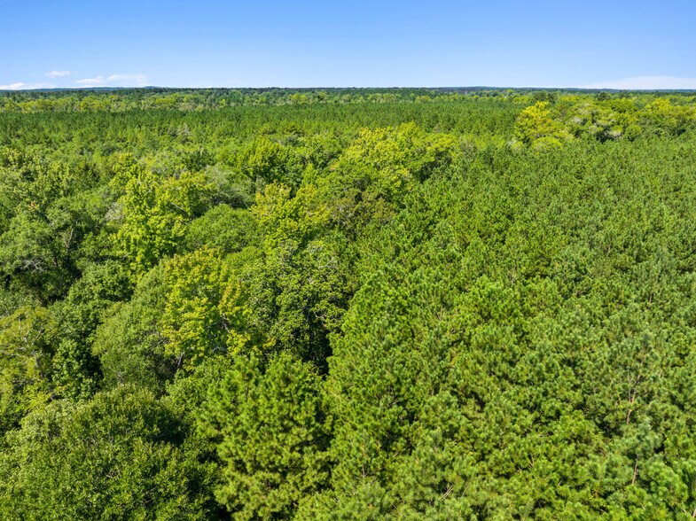 More Photos Of 7471 Highway 155, Saline Land For Sale