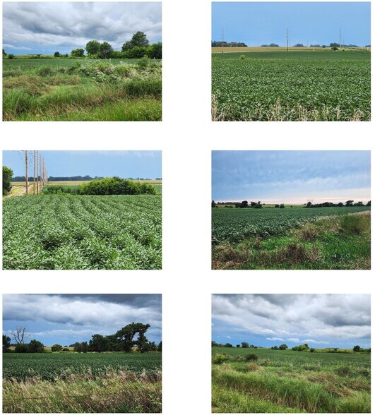 More Photos Of 274th Street, Harrisburg Land For Sale