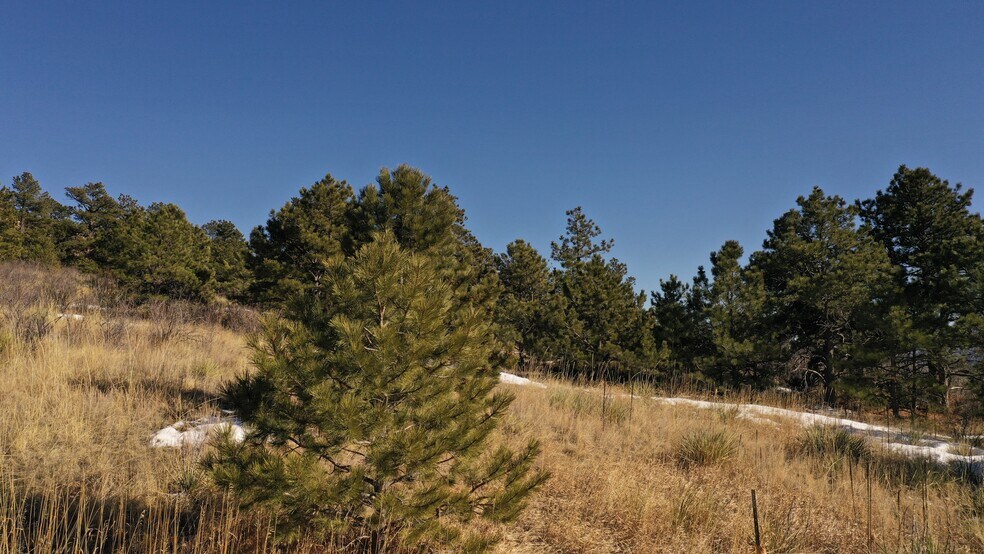 More Photos Of 4551 Pyramid Mountain Road r, Cascade Land For Sale