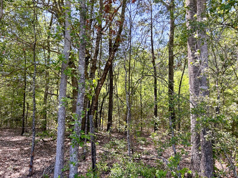 More Photos Of Sandy Lane Drive @ Sandy Lane Drive, Lufkin Land For Sale