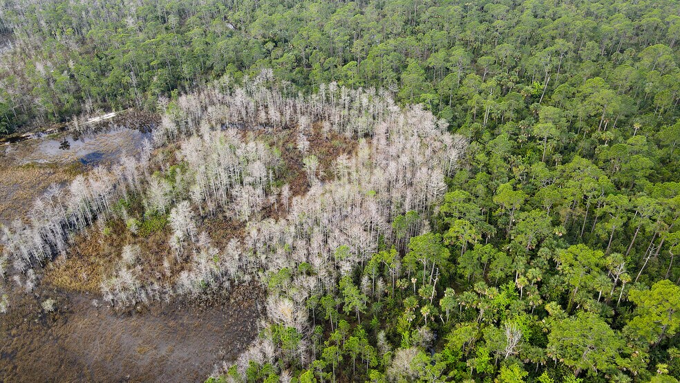 More Photos Of TBD SW Warfield Rd, Indiantown Land For Sale