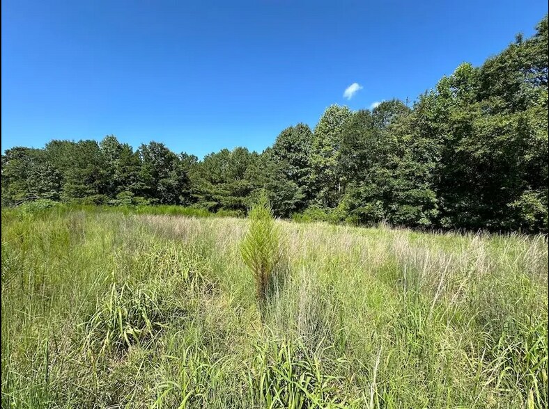 More Photos Of 1442 Bird Hammond Rd, Winder Land For Sale