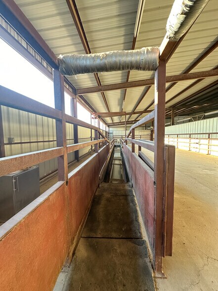 More Photos Of 5686 New Authon Rd, Weatherford Land For Sale