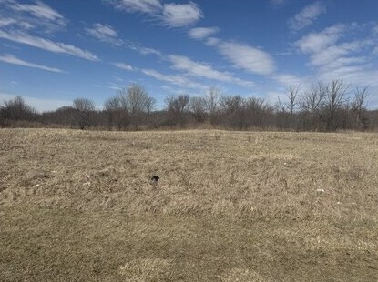 Primary Photo Of 39520 N Green Bay Rd, Beach Park Land For Sale