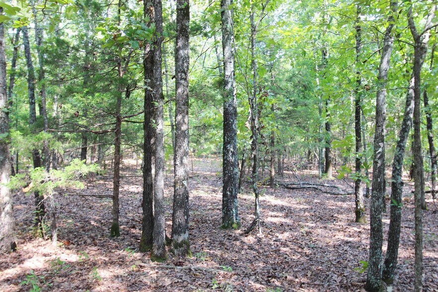 More Photos Of 226 Blythe rd, Greenbrier Land For Sale