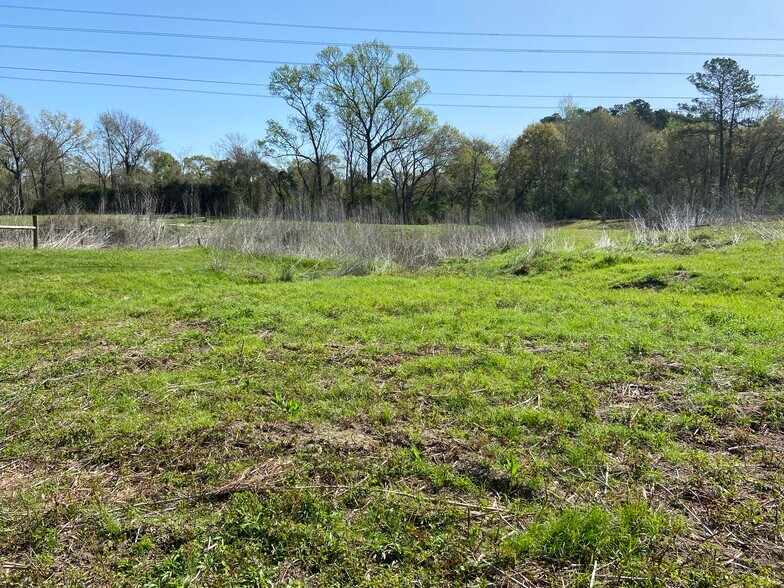 More Photos Of 24030 Hegar Rd, Hockley Land For Sale