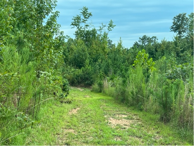 More Photos Of 5211 Donna Rd, Douglasville Land For Sale