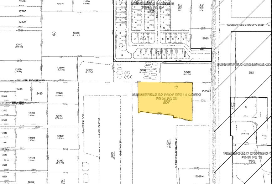 More Photos Of 13043-13045 Summerfield Sq, Riverview Medical For Sale