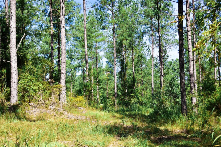 More Photos Of 1392 Fields Rd Fields Rd, Pauline Land For Sale