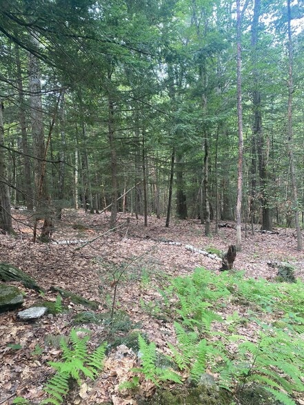 More Photos Of Daggett Hill (TM R16-3) Rd, Westmoreland Land For Sale