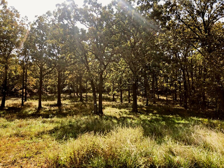 More Photos Of 10240 County Road 3060, Rolla Land For Sale
