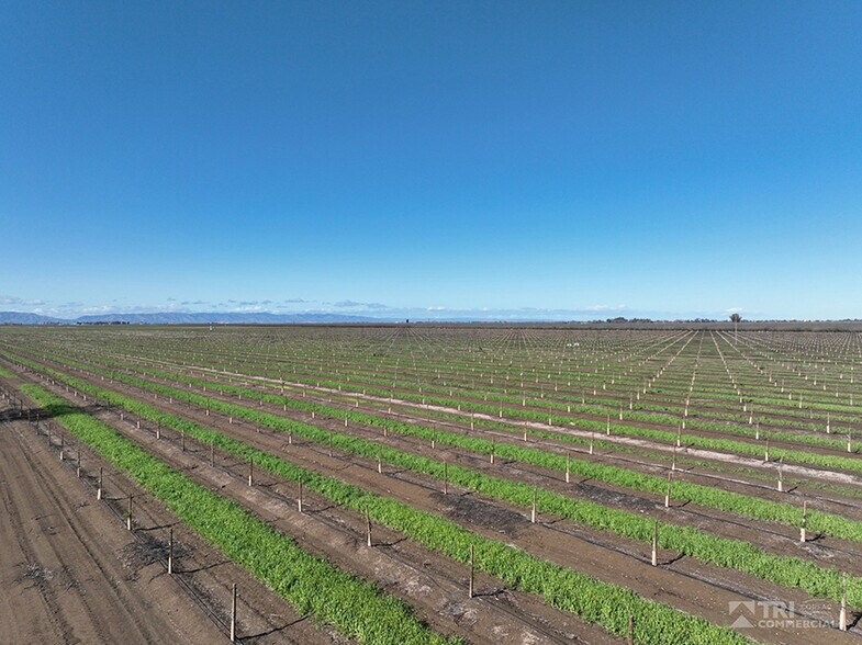 More Photos Of 8535 Bulkley Rd, Dixon Land For Sale