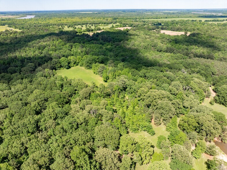 More Photos Of 17631 Farm Road 1159, Clarksville Land For Sale