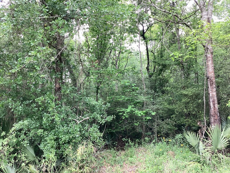 More Photos Of 0 County Road 4876, Dayton Land For Sale