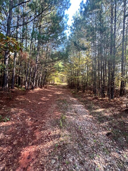 More Photos Of 0 St. Lucia Sunrise, Conyers Land For Sale