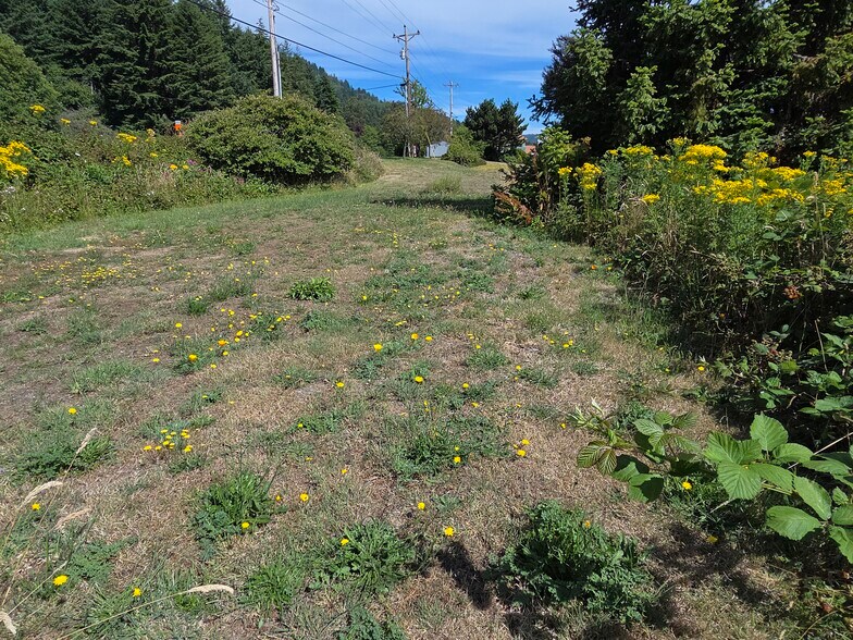 More Photos Of 15282 Highway 101, Brookings Land For Sale