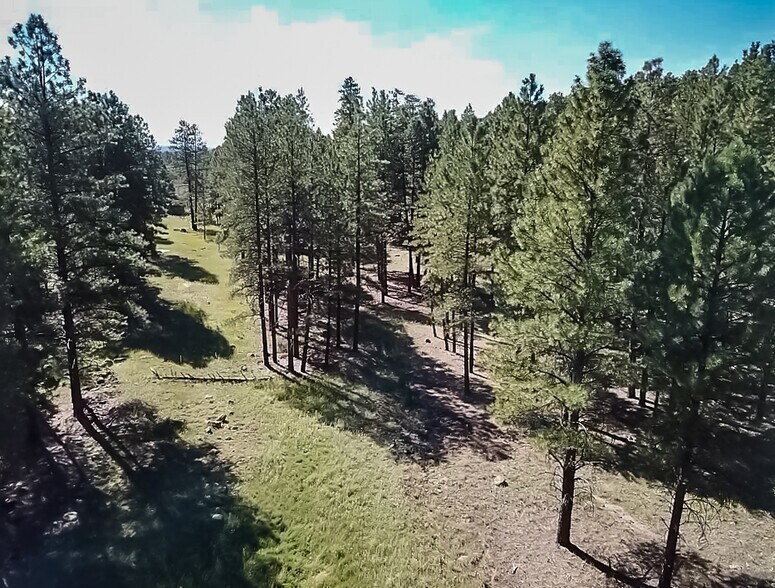 More Photos Of 800 N Switzer Canyon Dr, Flagstaff Land For Sale
