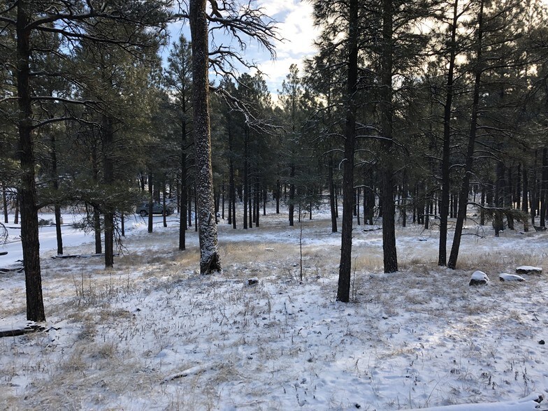 More Photos Of 800 N Switzer Canyon Dr, Flagstaff Land For Sale