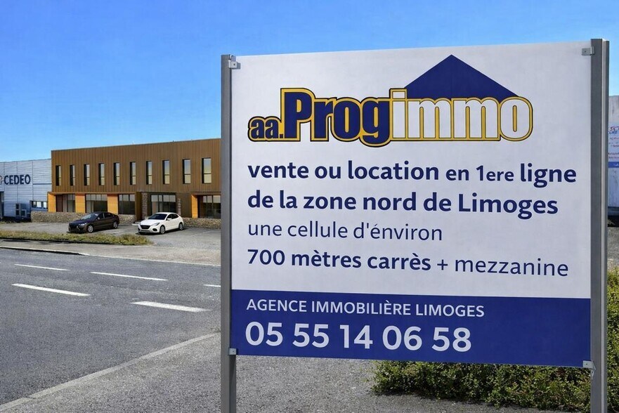 Primary Photo Of , Limoges Flex For Sale