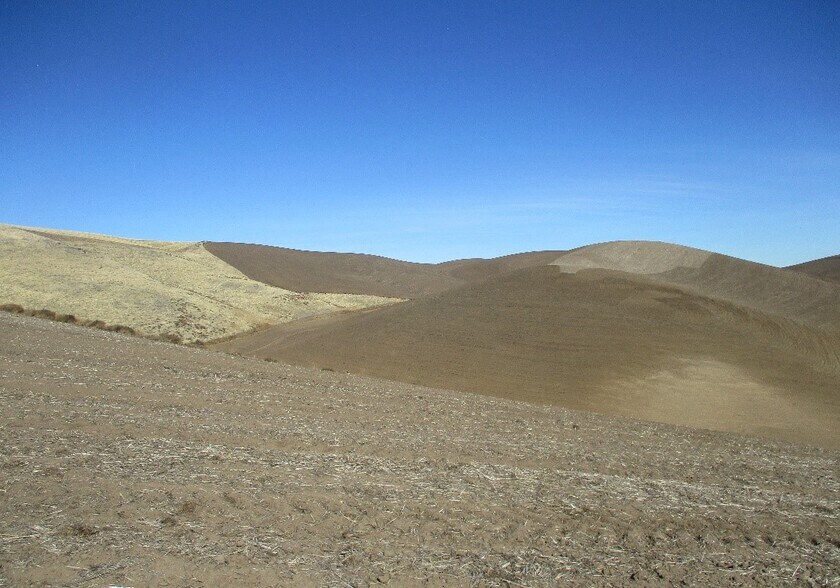 Primary Photo Of 3463 Smith Springs Rd, Prescott Land For Sale