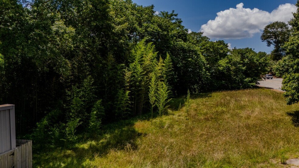 More Photos Of 542 Rutherford Rd, Greenville Land For Sale