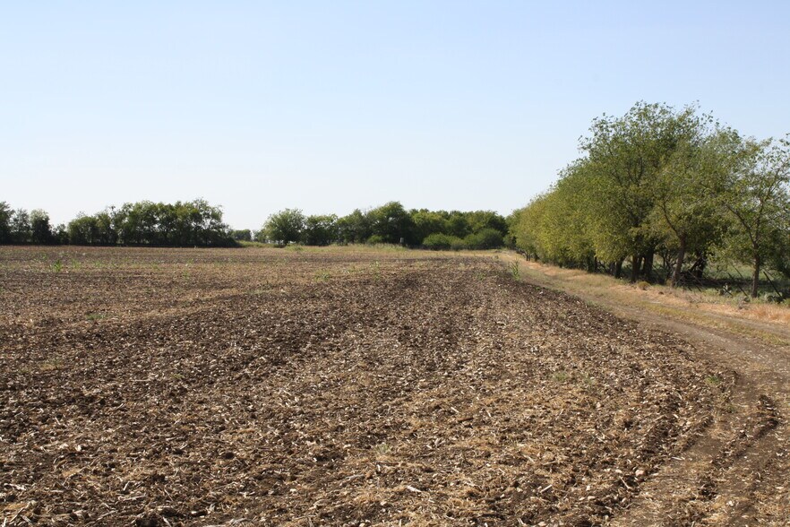 More Photos Of 250 County Road 216, Jarrell Land For Sale