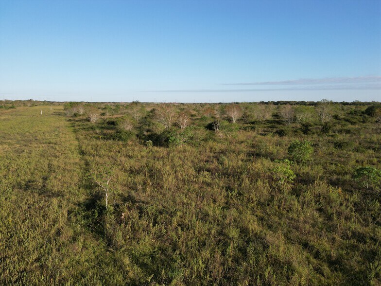 More Photos Of Land (County Rd 220 Angleton, TX 77515) | 197 acres, Angleton Land For Sale