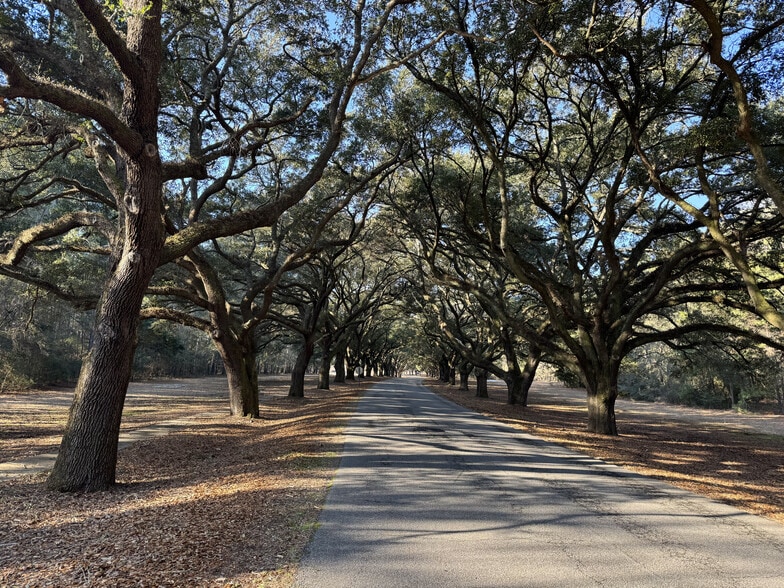 More Photos Of Rowesville Rd, Orangeburg Land For Sale