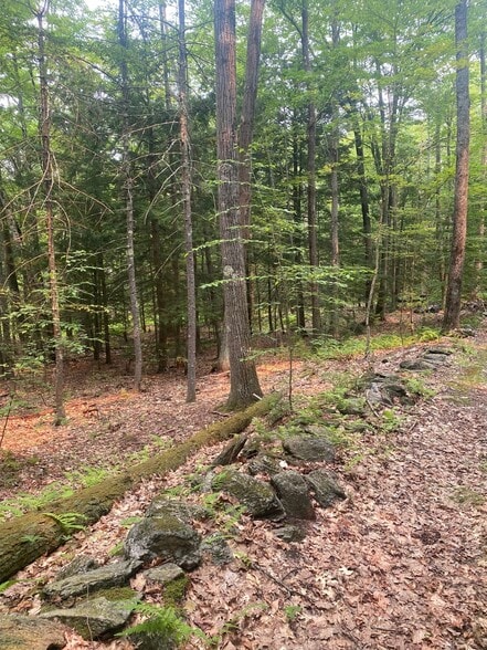 More Photos Of Daggett Hill (TM R16-3) Rd, Westmoreland Land For Sale