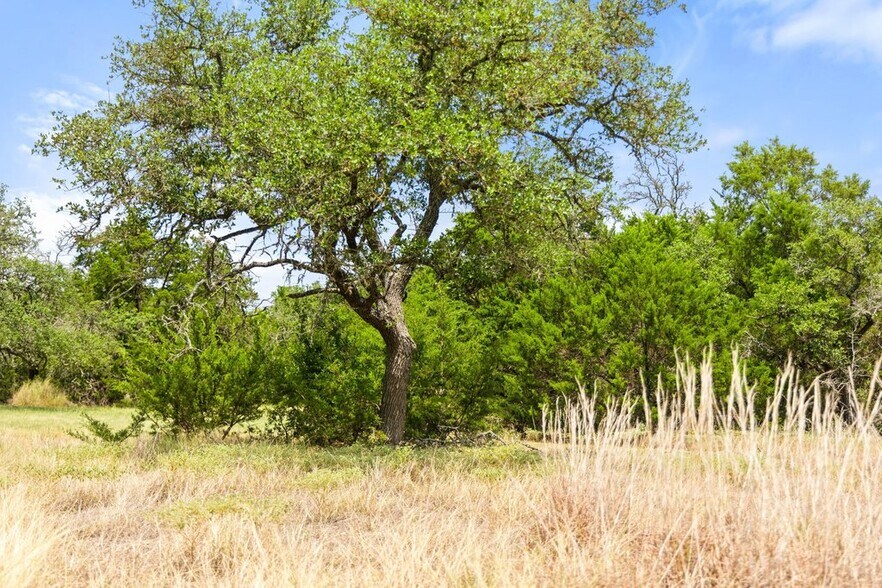 More Photos Of 1984 Grape Creek rd, Fredericksburg Specialty For Sale