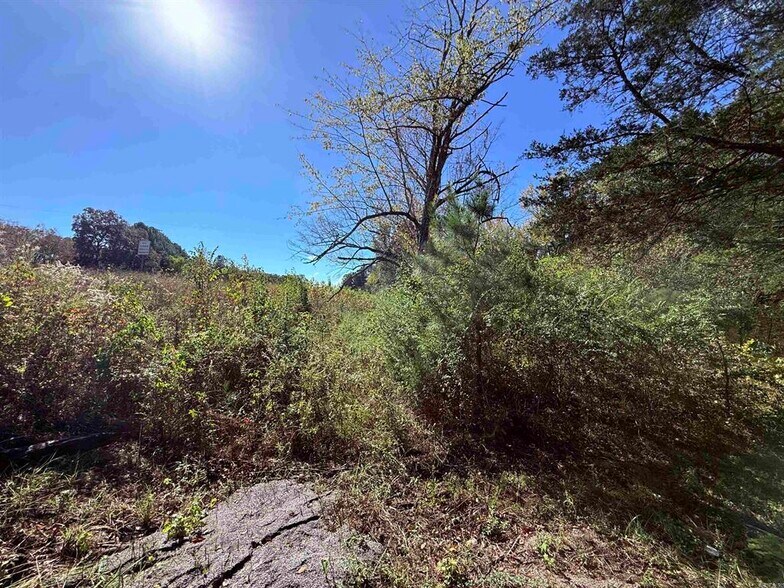 More Photos Of 101 Indian Trl, Bald Knob Land For Sale