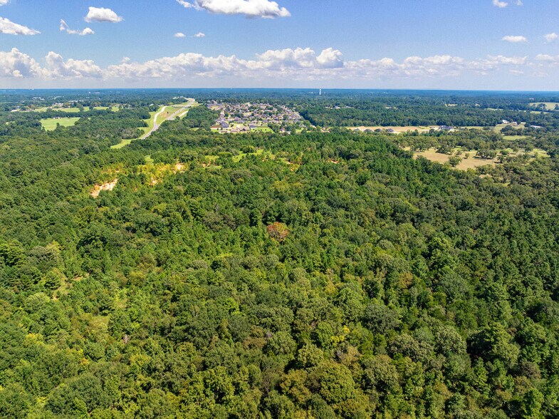 More Photos Of TBD County Road 166, Tyler Land For Sale