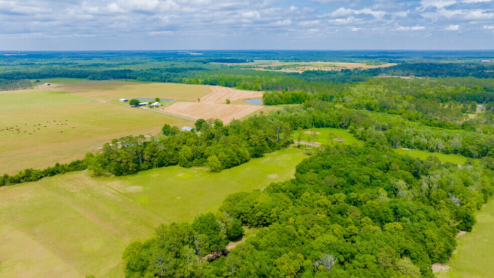 More Photos Of 24795A Hwy 32, Elberta Land For Sale
