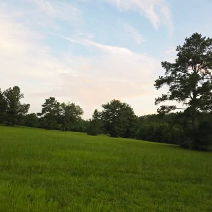 More Photos Of 1575 FM 2827 Rd, Warren Lodge Meeting Hall For Sale