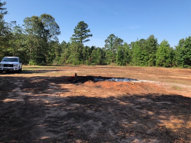 More Photos Of Hwy 157, Plain Dealing Land For Sale