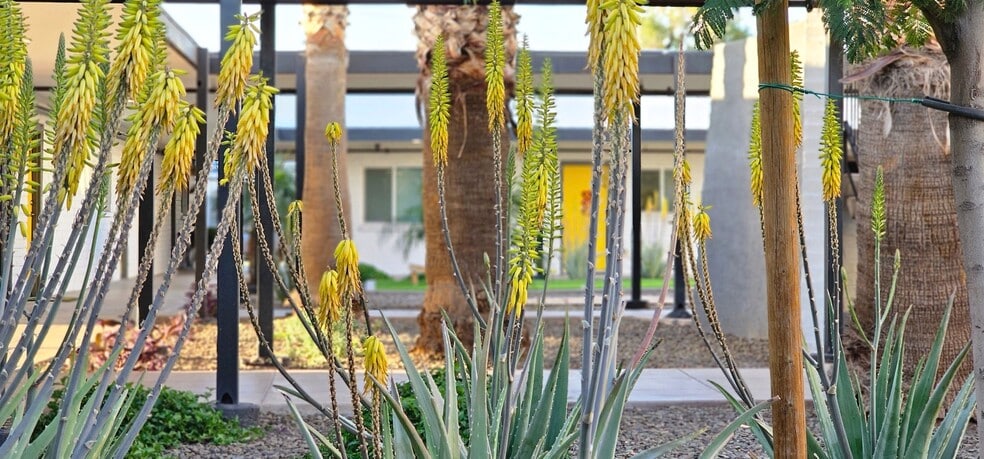 More Photos Of 3625 N 16th St, Phoenix Apartments For Sale