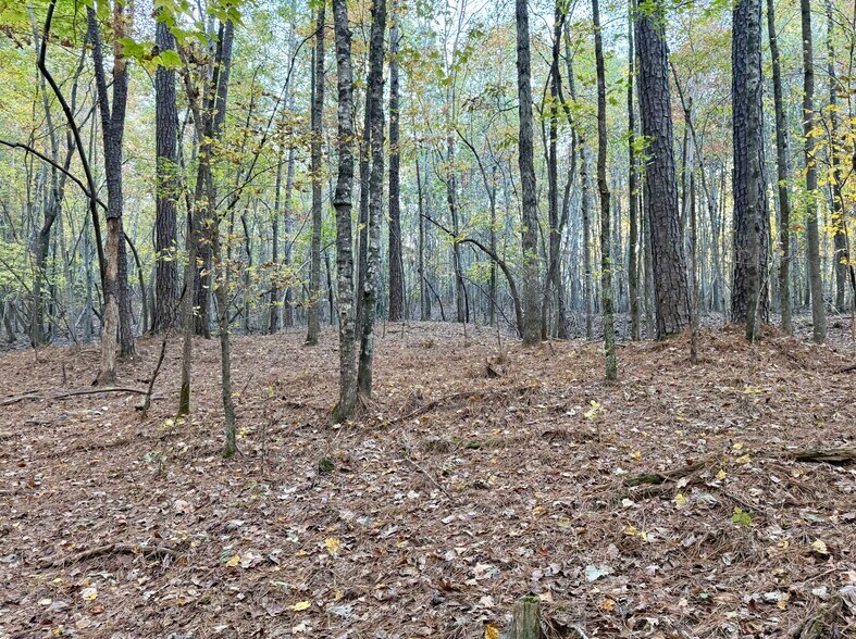 Primary Photo Of Airport Rd, Wadesboro Land For Sale