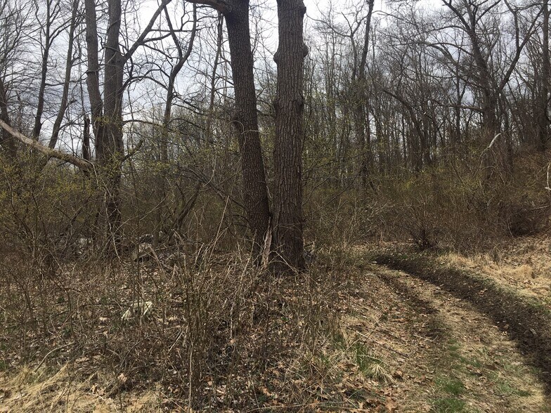 More Photos Of 859 Green Pond Rd, Rockaway Land For Sale