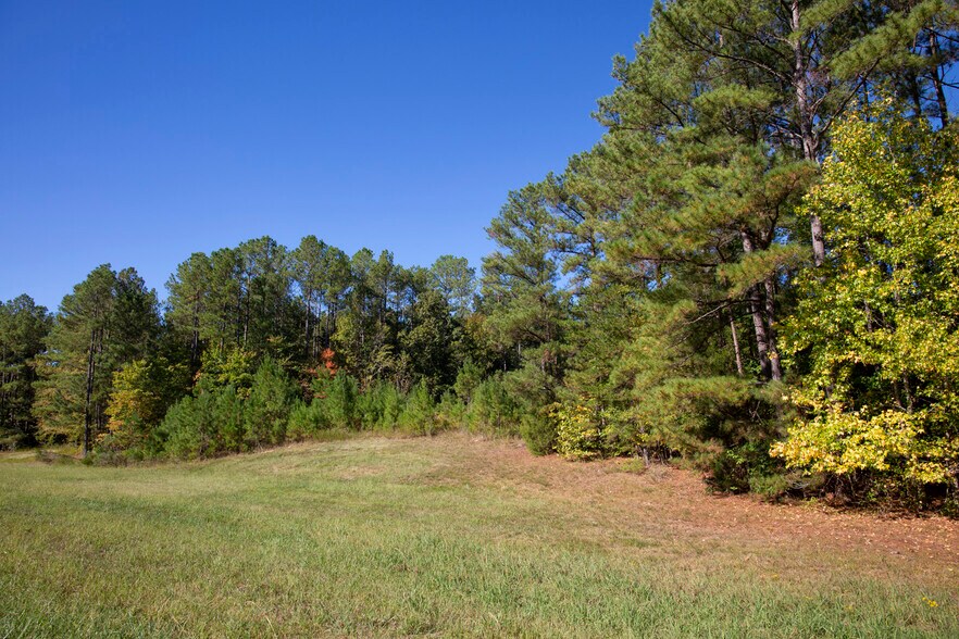 More Photos Of Walter Bright Road & 15-501, Sanford Land For Sale