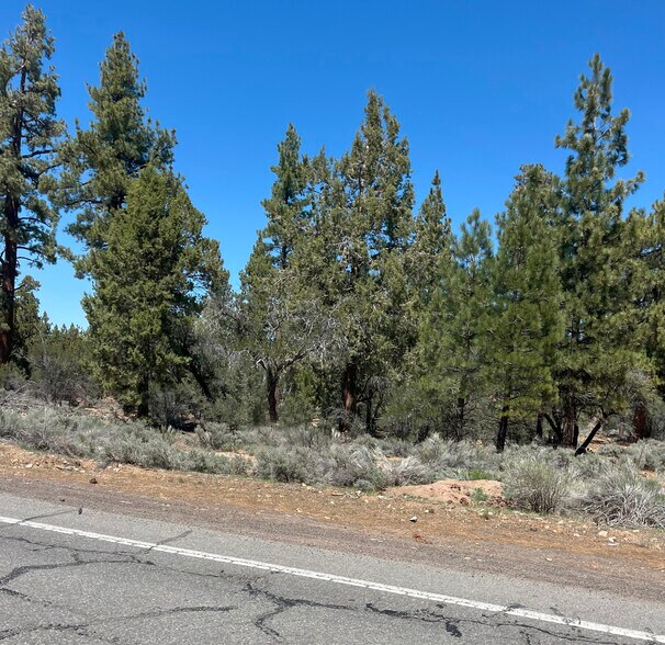 More Photos Of Erwin Ranch Rd, Big Bear City Land For Sale