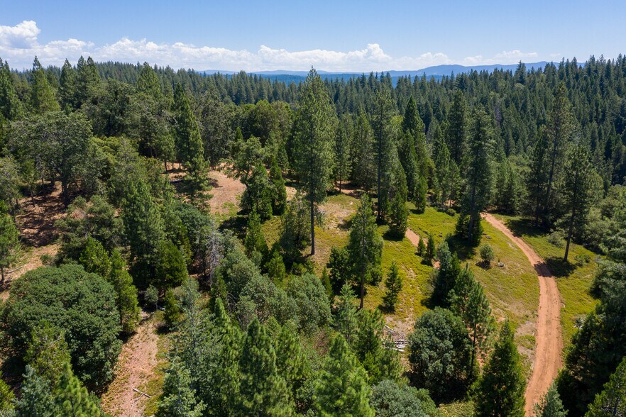 More Photos Of 25755 State Highway 88, Pioneer Land For Sale