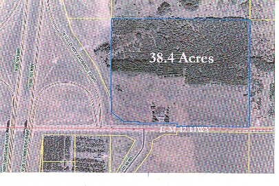Primary Photo Of 10103 E M-42, Manton Land For Sale